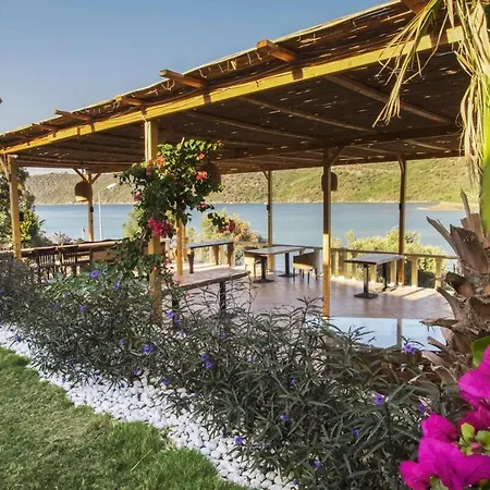 Hotel Unique Boutique For Chillout Getaway *